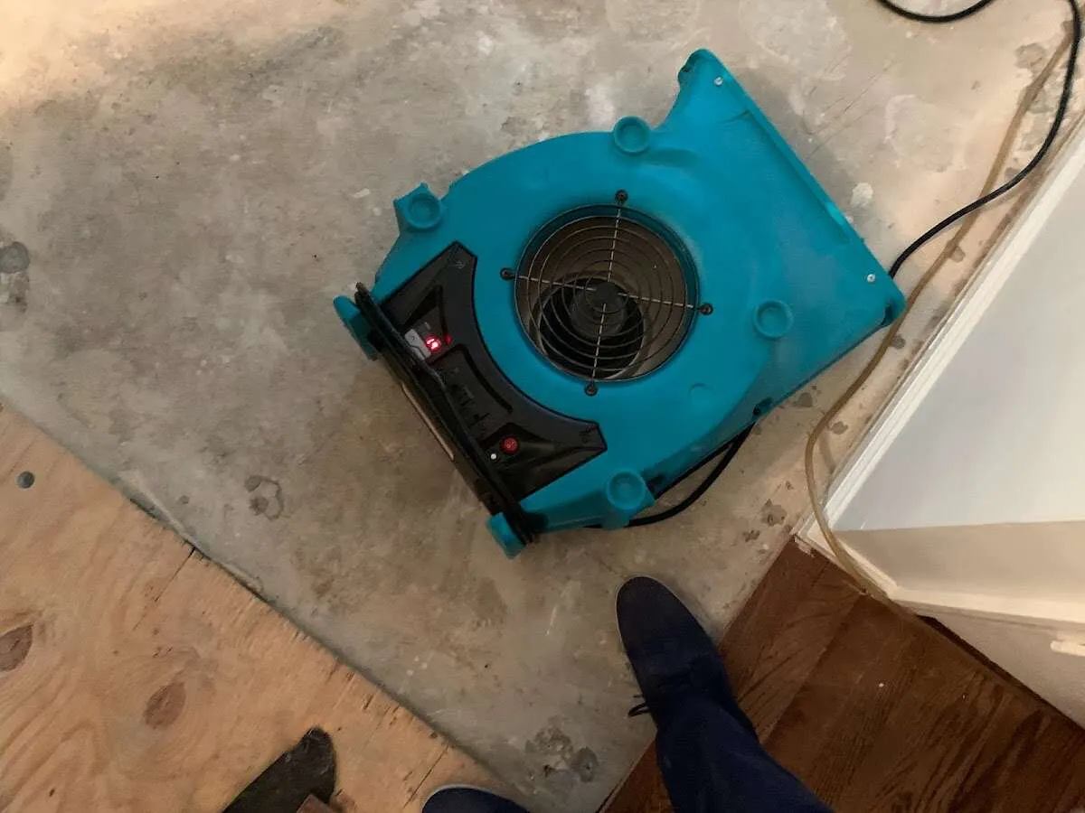Air mover drying subfloor during Leak Detection & Repair in Leonardtown